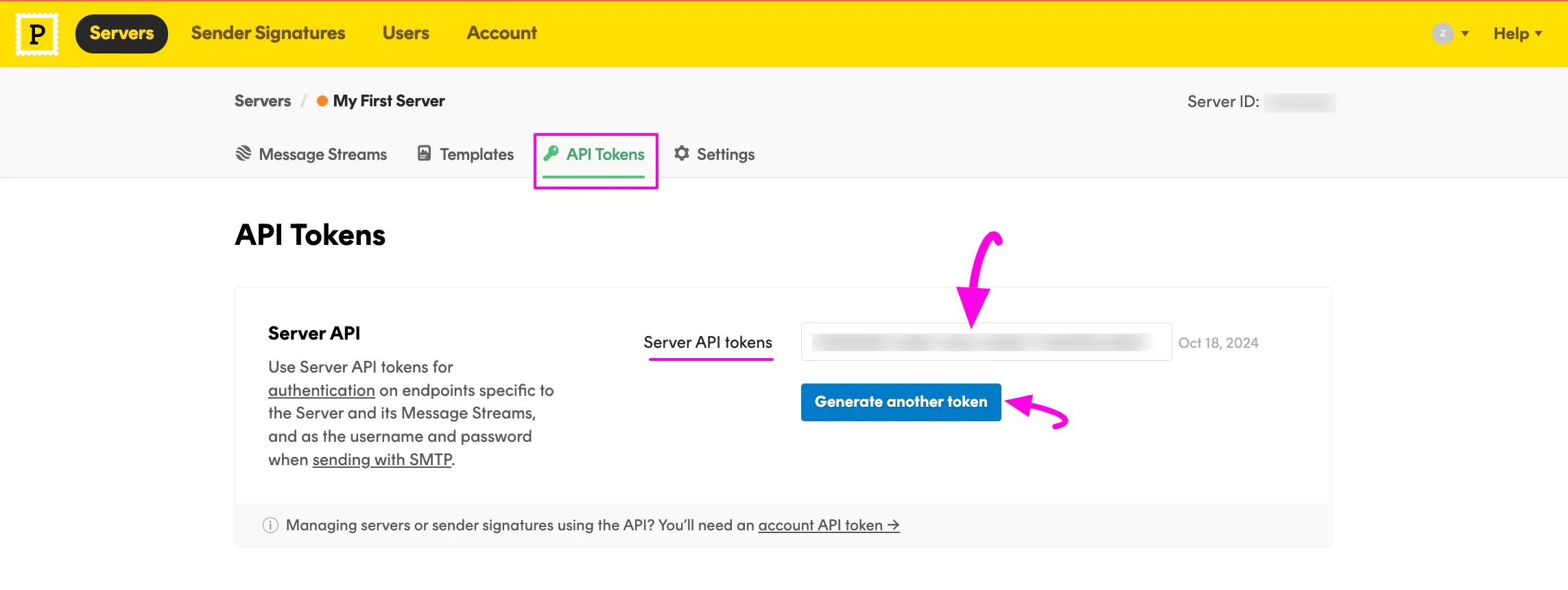 Copy Server Api Token