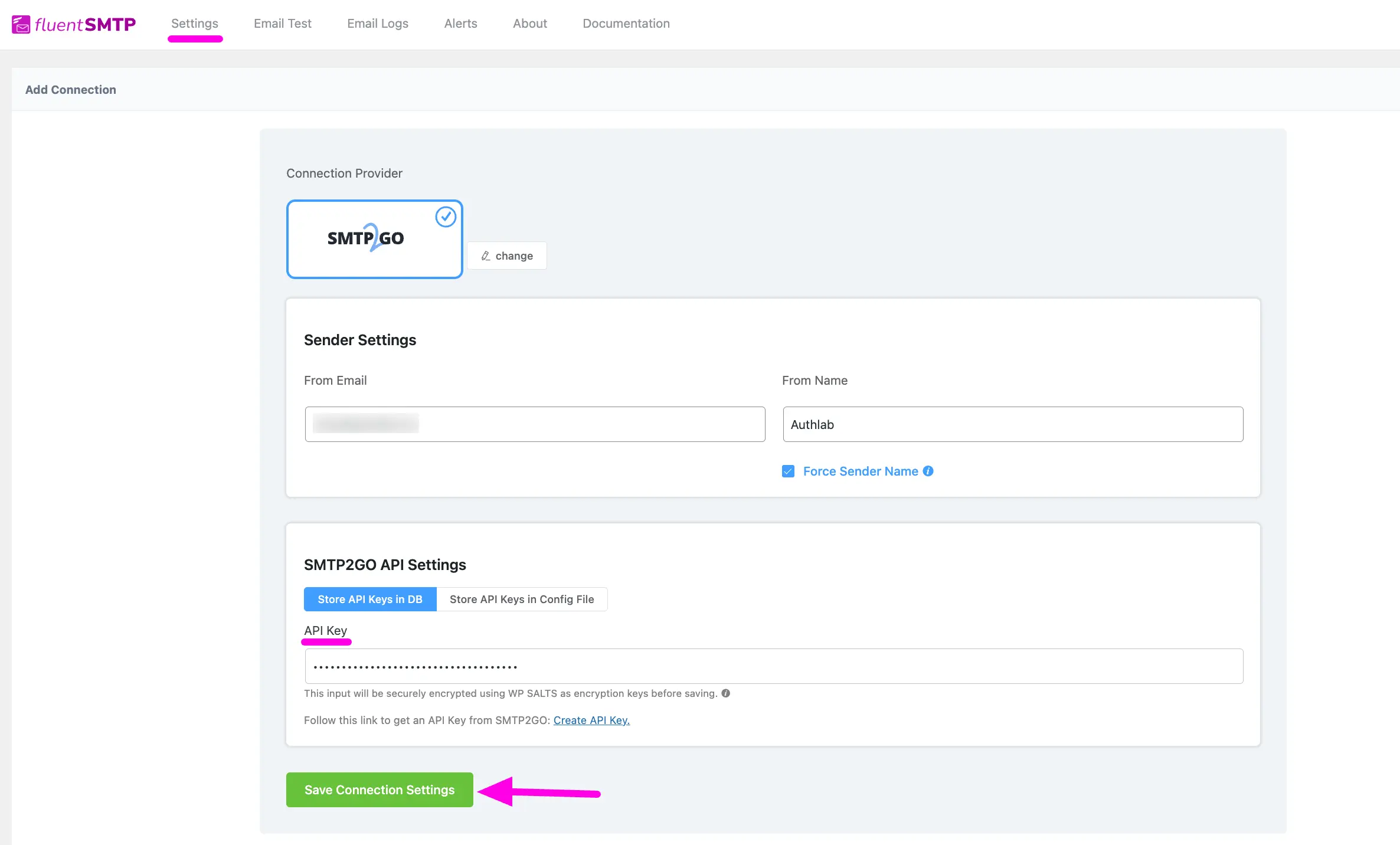 Paste Api Key